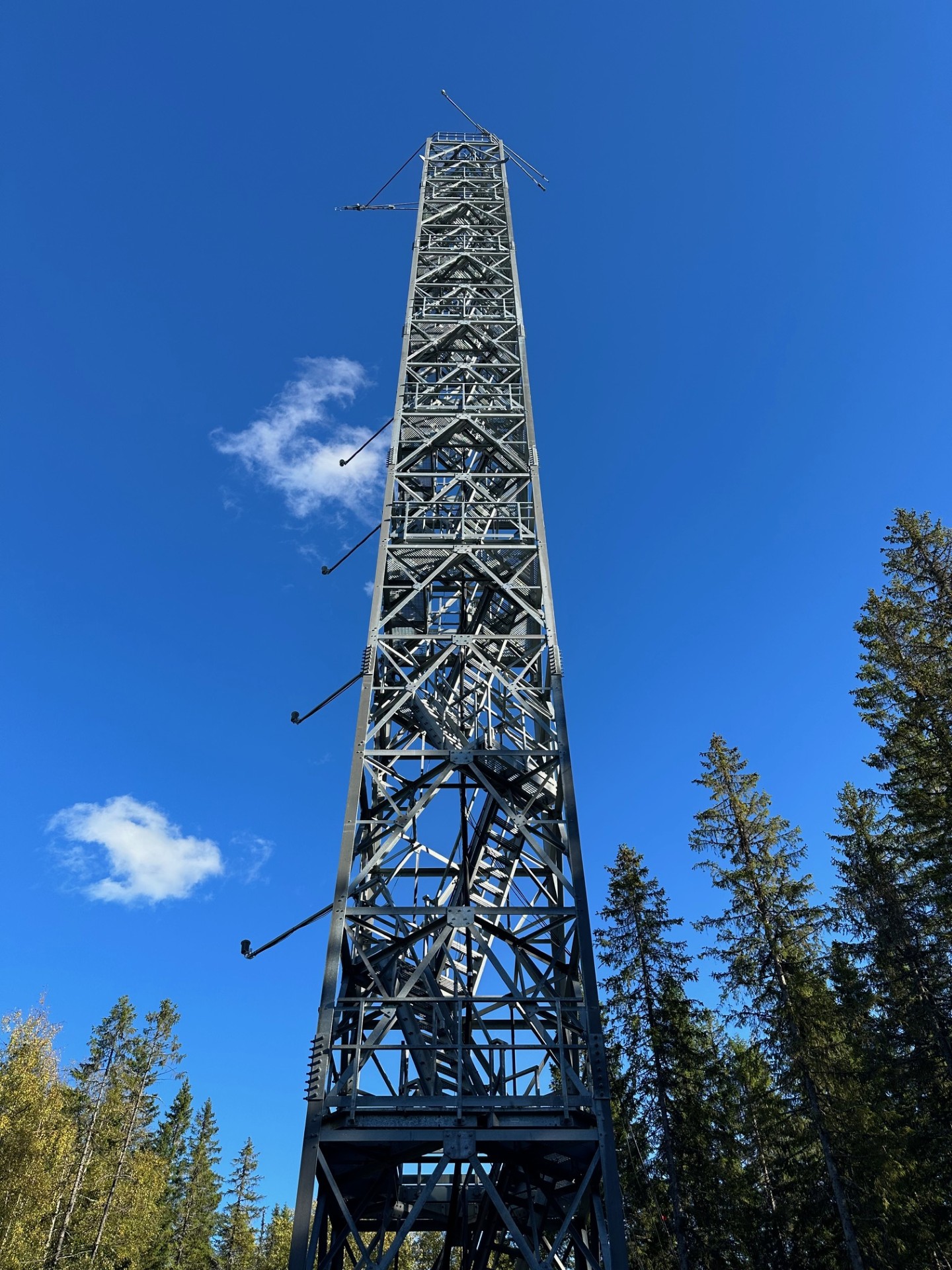 Tower