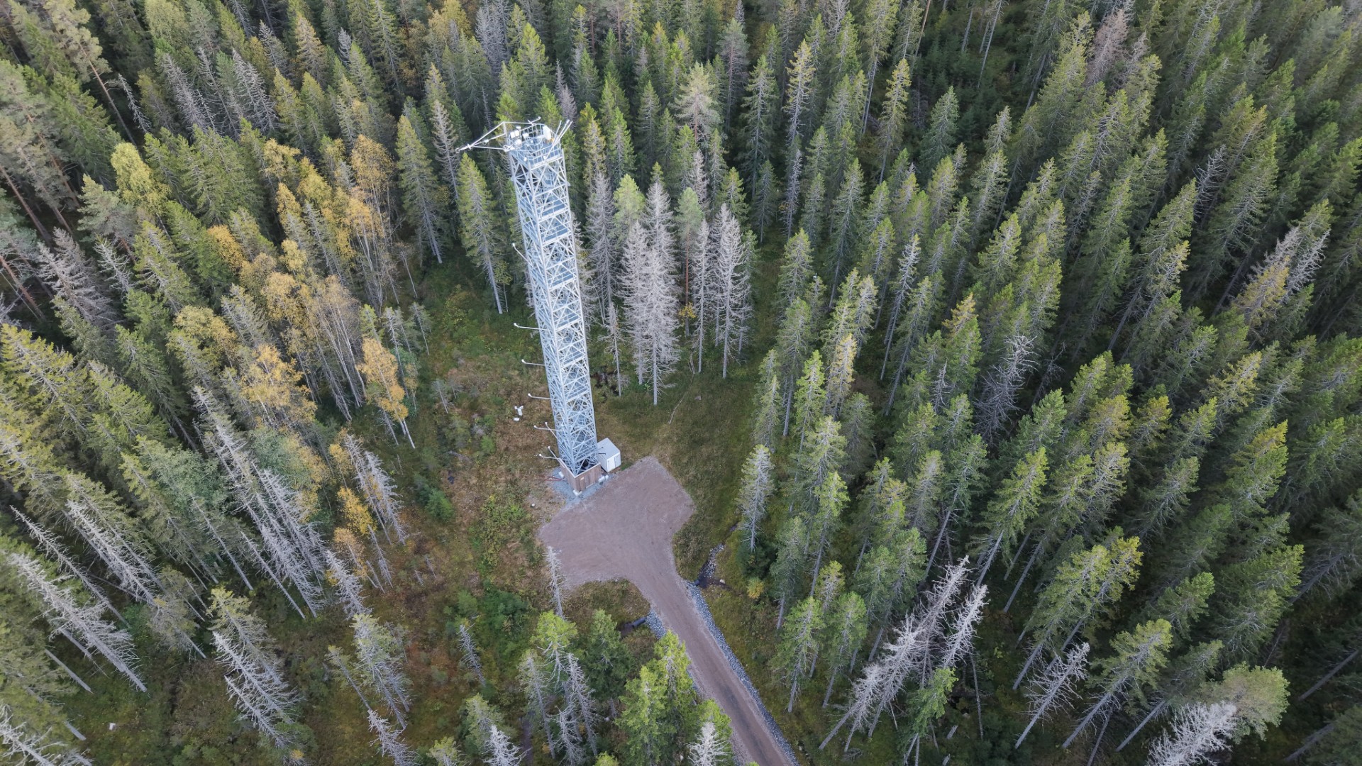 Tower2
